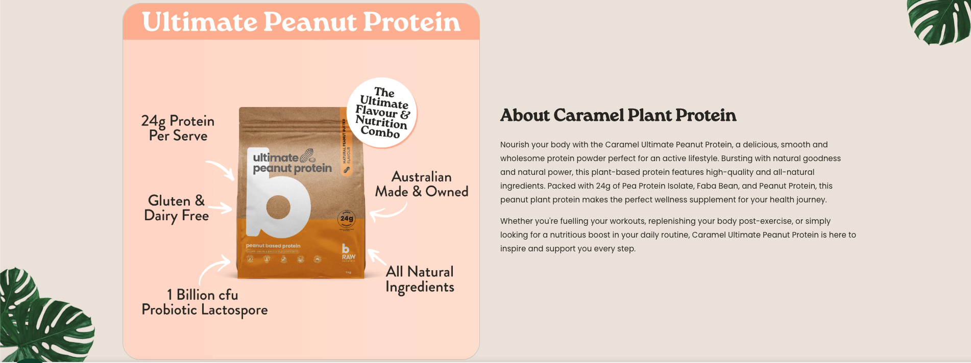 Product Description