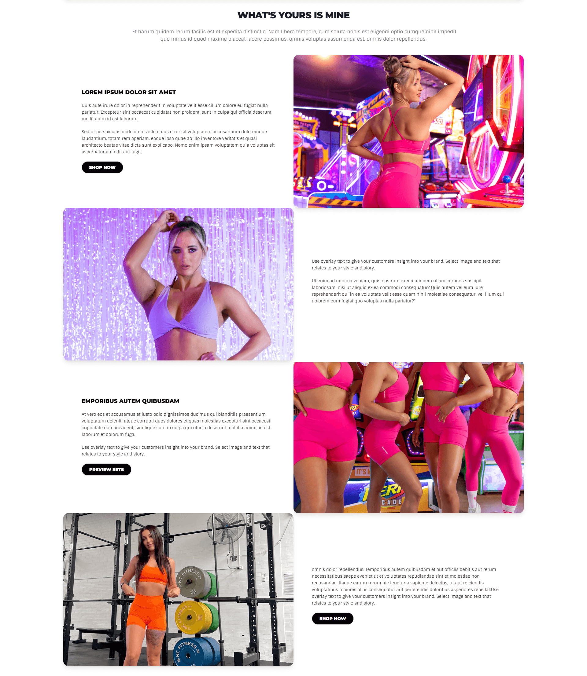 Promo Image Block section preview